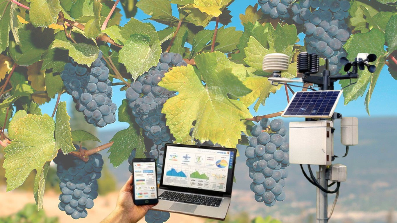 Clima, vinho, defensivos e SUSTENTABILIDADE em 2025