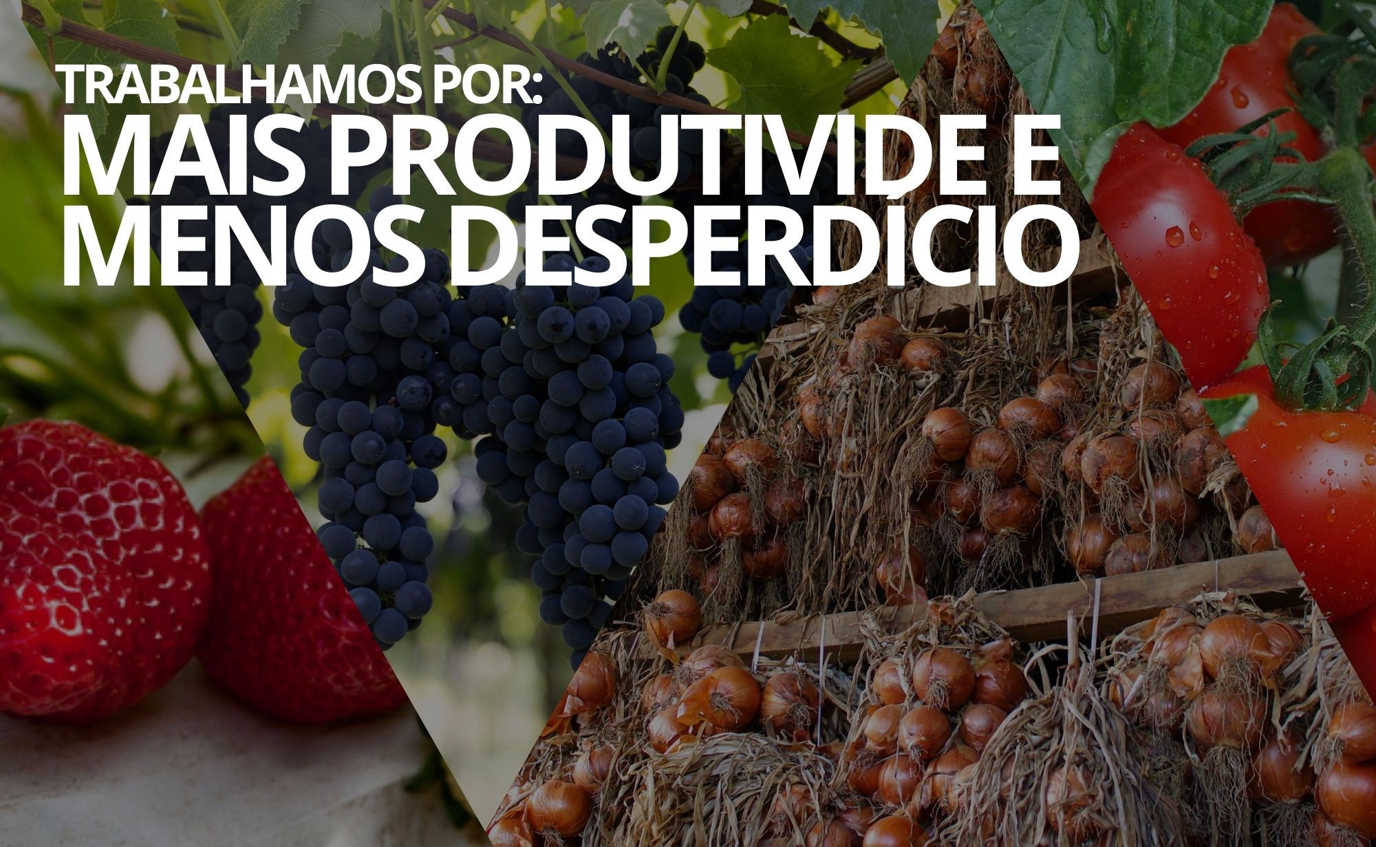 Trabalhamos por: Mais Produtividade e Menos Desperdício