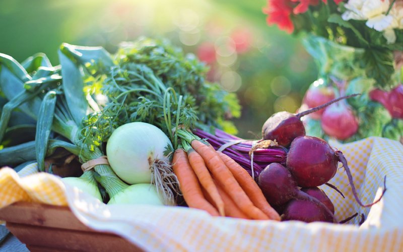 97% dos alimentos vegetais estão dentro do limite de resíduos, afirma ministra da Agricultura