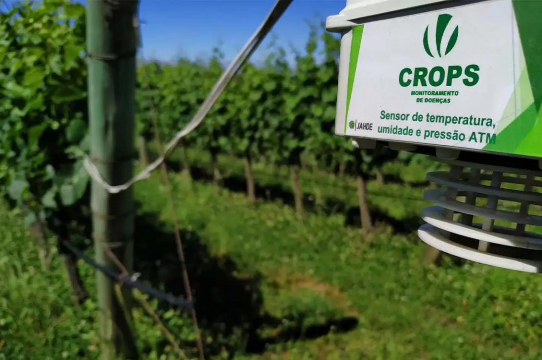 Agricultura 4.0 na Serra Gaúcha - Conheça o Sistema CROPS, tecnologia aprovada pela EMBRAPA para controle de míldio